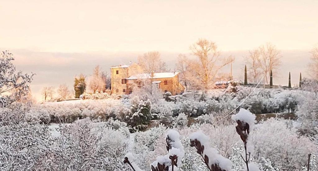 Grove Cottage: Immersed In Nature & Close To Town Città della Pieve Extérieur photo